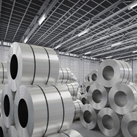 Bobina laminada en caliente de acero inoxidable